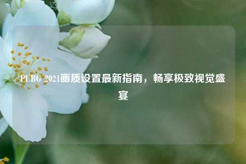 PUBG 2021画质设置最新指南，畅享极致视觉盛宴