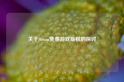 关于Steam免费游戏版权的探讨