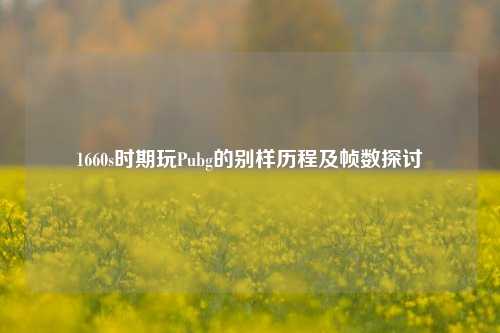 1660s时期玩Pubg的别样历程及帧数探讨