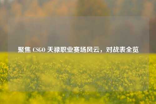 聚焦 CSGO 天禄职业赛场风云，对战表全览