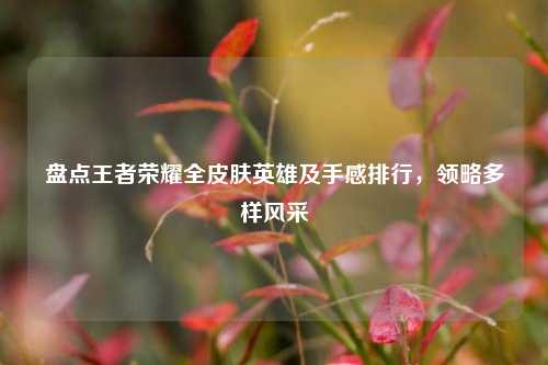 盘点王者荣耀全皮肤英雄及手感排行，领略多样风采