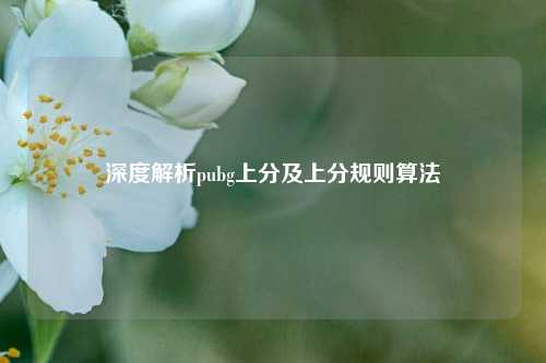 深度解析pubg上分及上分规则算法