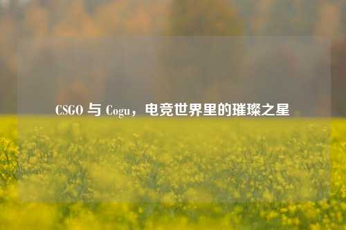CSGO 与 Cogu，电竞世界里的璀璨之星