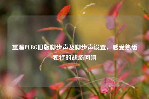 重温PUBG旧版脚步声及脚步声设置，感受熟悉独特的战场回响