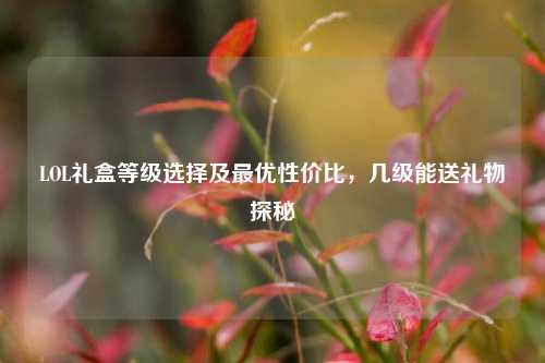 LOL礼盒等级选择及最优性价比,几级能送礼物探秘