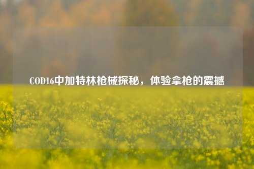 COD16中加特林枪械探秘，体验拿枪的震撼