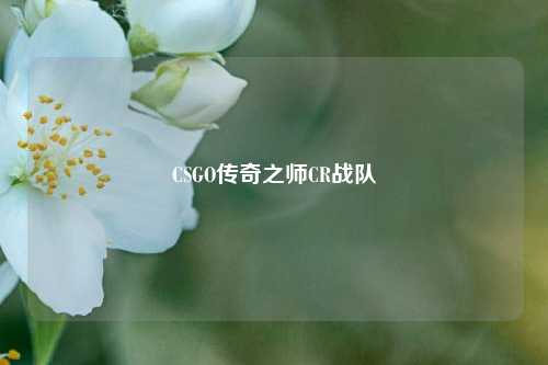 CSGO传奇之师CR战队