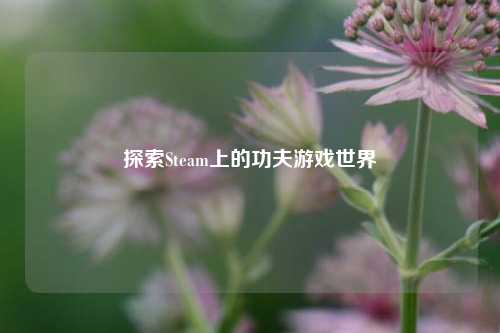 探索Steam上的功夫游戏世界