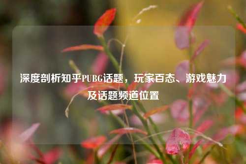 深度剖析知乎PUBG话题，玩家百态、游戏魅力及话题频道位置
