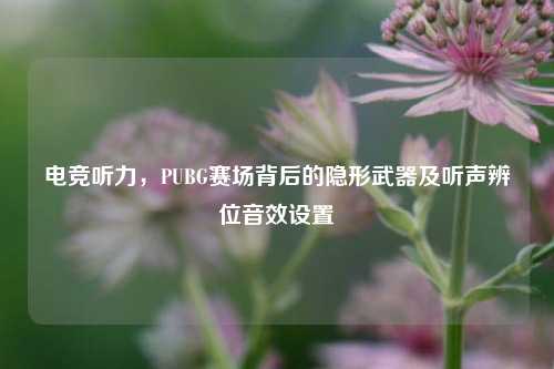 电竞听力,PUBG赛场背后的隐形武器及听声辨位音效设置