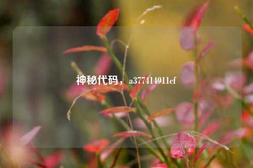 神秘代码，a377414911cf
