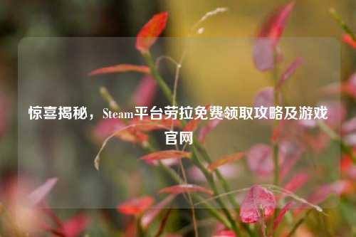 惊喜揭秘，Steam平台劳拉免费领取攻略及游戏官网