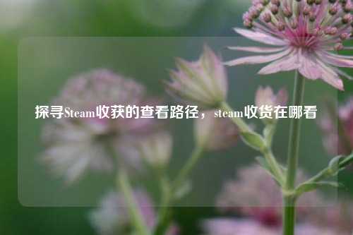 探寻Steam收获的查看路径,steam收货在哪看