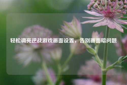 轻松调亮逆战游戏画面设置,告别画面暗问题