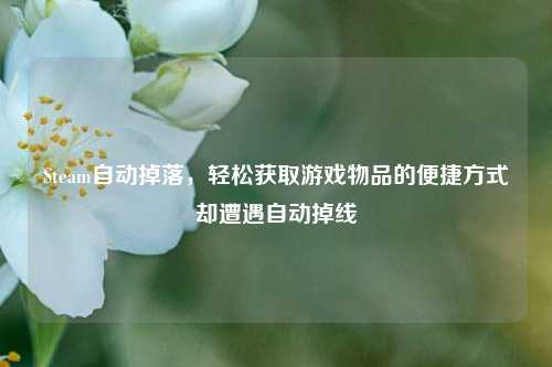 Steam自动掉落,轻松获取游戏物品的便捷方式却遭遇自动掉线