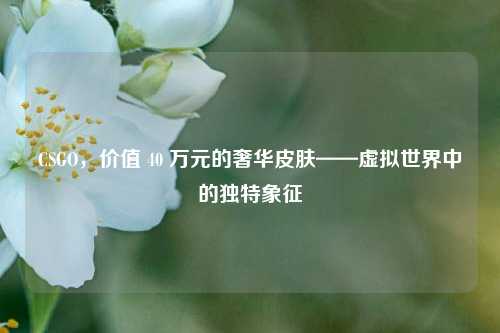 CSGO，价值 40 万元的奢华皮肤——虚拟世界中的独特象征