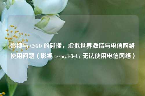 影视与 CSGO 的碰撞,虚拟世界激情与电信网络使用问题(影视 cs-my3-3why 无法使用电信网络)