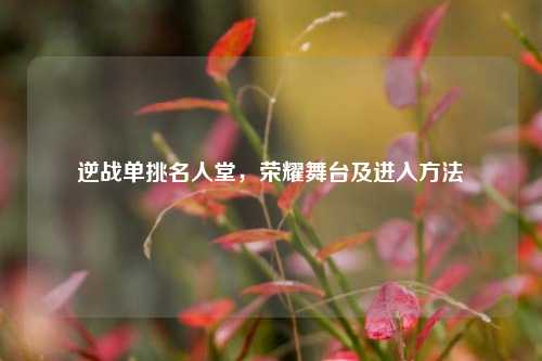 逆战单挑名人堂,荣耀舞台及进入方法