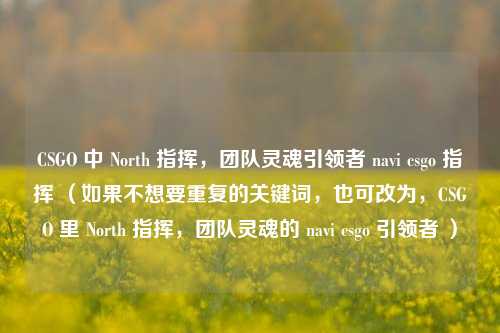 CSGO 中 North 指挥,团队灵魂引领者 navi csgo 指挥 (如果不想要重复的关键词,也可改为,CSGO 里 North 指挥,团队灵魂的 navi csgo 引领者 )
