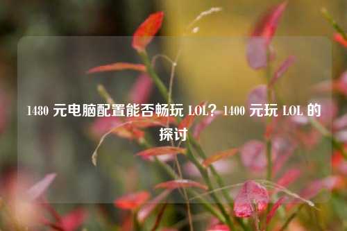 1480 元电脑配置能否畅玩 LOL？1400 元玩 LOL 的探讨