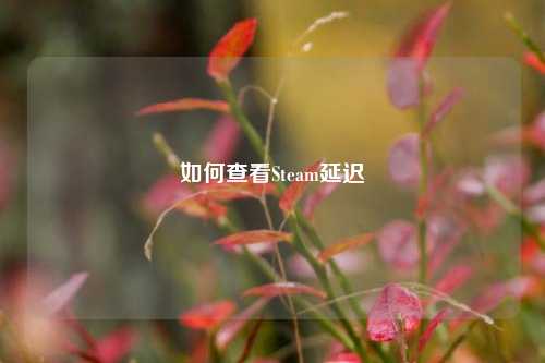 如何查看Steam延迟