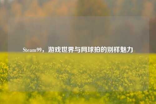 Steam99,游戏世界与网球拍的别样魅力