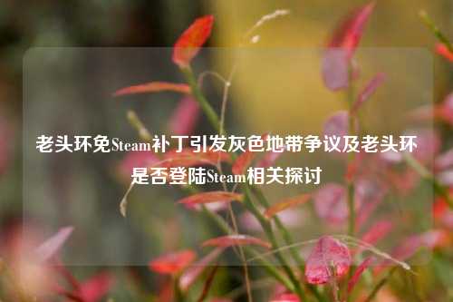 老头环免Steam补丁引发灰色地带争议及老头环是否登陆Steam相关探讨