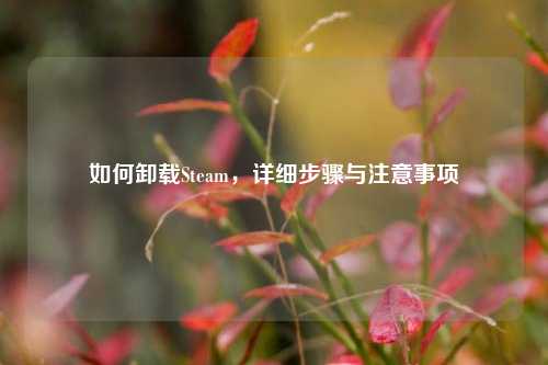 如何卸载Steam,详细步骤与注意事项