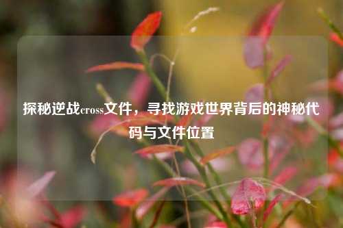 探秘逆战cross文件,寻找游戏世界背后的神秘代码与文件位置