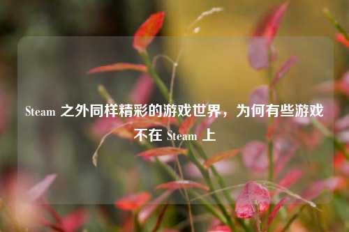 Steam 之外同样精彩的游戏世界,为何有些游戏不在 Steam 上