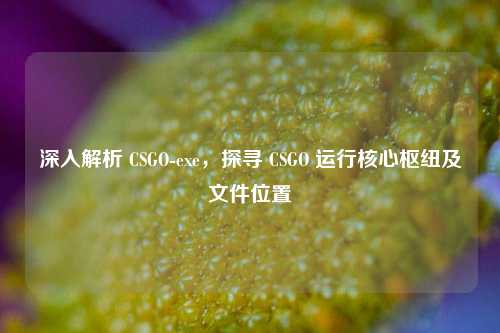 深入解析 CSGO-exe,探寻 CSGO 运行核心枢纽及文件位置