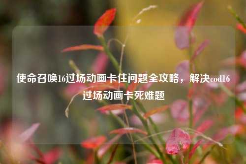 使命召唤16过场动画卡住问题全攻略,解决cod16过场动画卡死难题