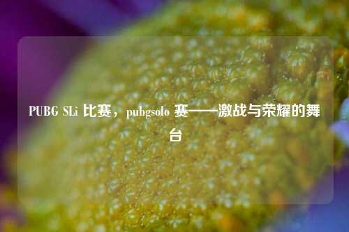 PUBG SLi 比赛,pubgsolo 赛——激战与荣耀的舞台