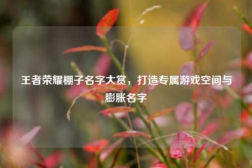 王者荣耀棚子名字大赏，打造专属游戏空间与膨胀名字