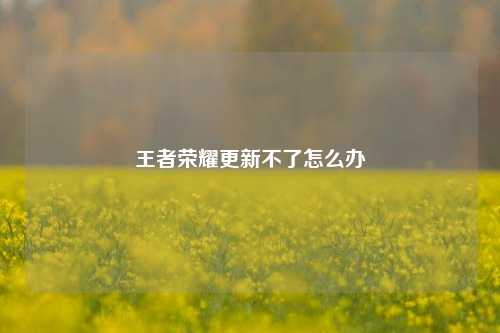 王者荣耀更新不了怎么办