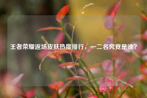 王者荣耀返场皮肤热度排行，一二名究竟是谁？