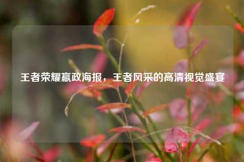 王者荣耀嬴政海报,王者风采的高清视觉盛宴