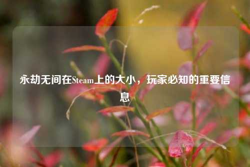 永劫无间在Steam上的大小,玩家必知的重要信息