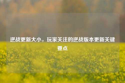 逆战更新大小，玩家关注的逆战版本更新关键要点