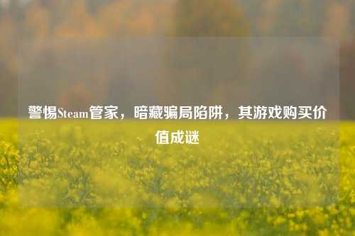 警惕Steam管家,暗藏骗局陷阱,其游戏购买价值成谜