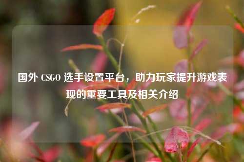 国外 CSGO 选手设置平台，助力玩家提升游戏表现的重要工具及相关介绍