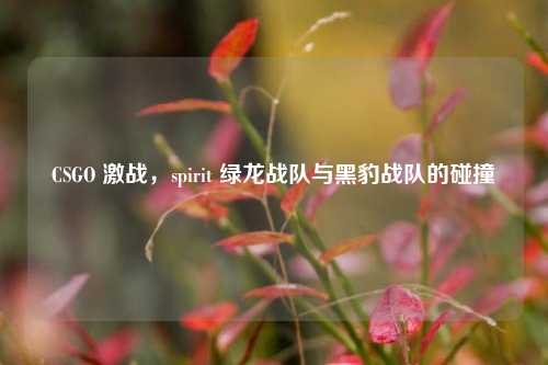 CSGO 激战，spirit 绿龙战队与黑豹战队的碰撞