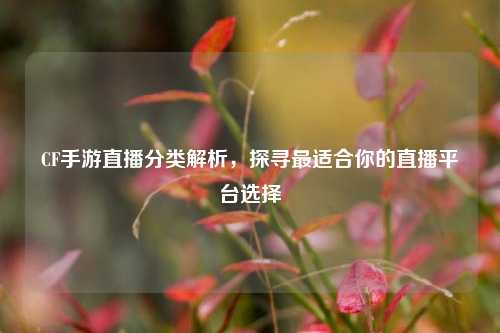 CF手游直播分类解析,探寻最适合你的直播平台选择