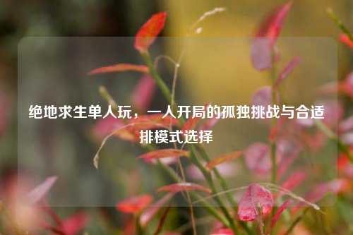 绝地求生单人玩，一人开局的孤独挑战与合适排模式选择