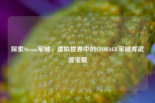 探索Steam军械，虚拟世界中的STORAGE军械库武器宝藏