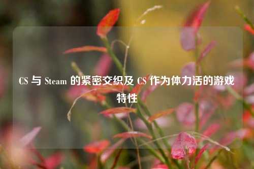 CS 与 Steam 的紧密交织及 CS 作为体力活的游戏特性