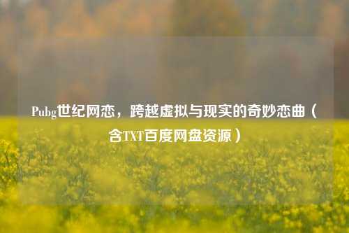 Pubg世纪网恋,跨越虚拟与现实的奇妙恋曲(含TXT百度网盘资源)