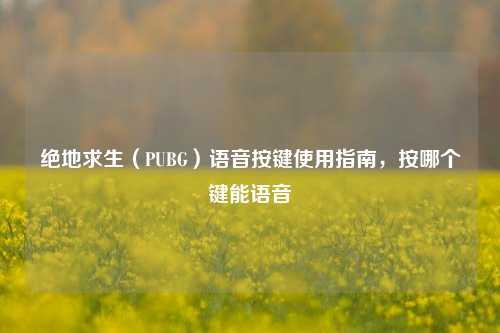 绝地求生（PUBG）语音按键使用指南，按哪个键能语音