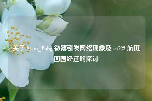 关于 Stem_Pubg 微薄引发网络现象及 ca722 航班回国经过的探讨