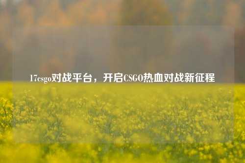 17csgo对战平台,开启CSGO热血对战新征程